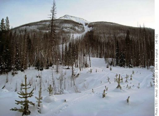 Vermilion Gully