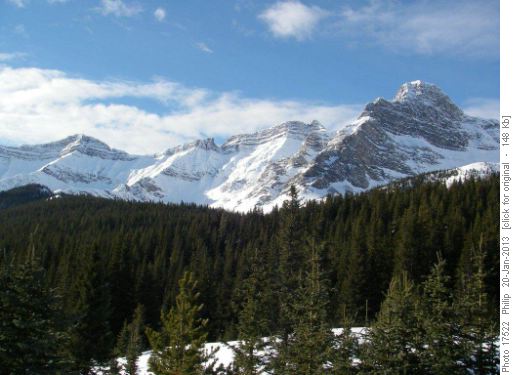 Mt. Brewster