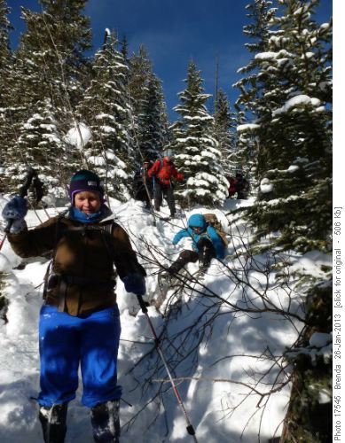 Deadfall and unconsolidated snow created challenges