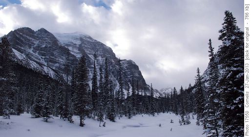 Mt Temple's North Face and Paradise Creek.
