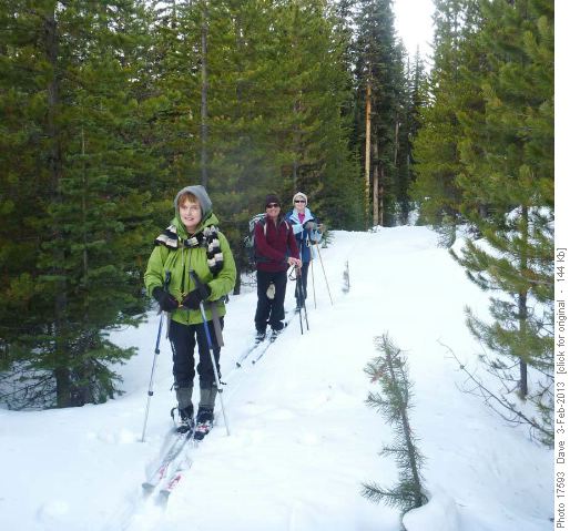 Breaking trail on the old red loop