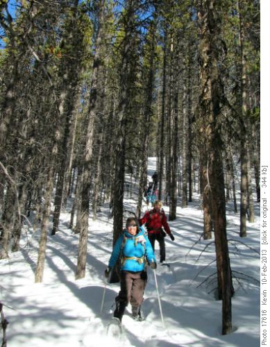 Aldis leading the shortcut through the trees