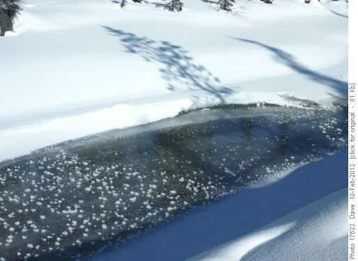 Hoar frost crystals on ice