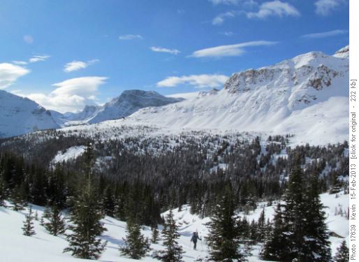 Upper Helen Creek with Crowfoot Pass in the distance