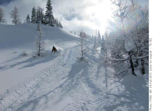 {154 Philip C} enjoying great powder