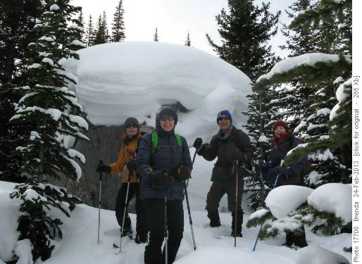 We found a mushroom capped rock