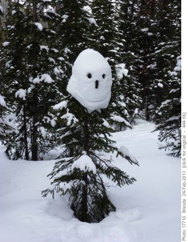 A friendly face was watching us