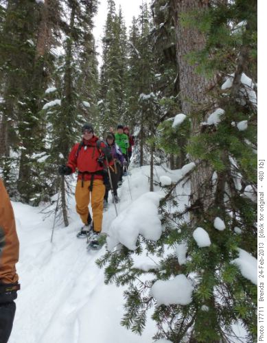 Coming down the gully