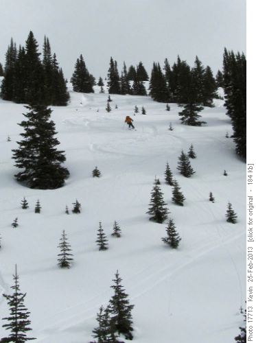 Maria carving turns down the glades