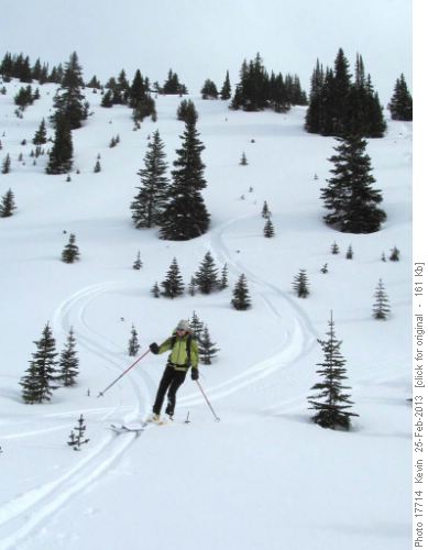 Phyllis skiing the glades