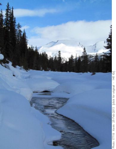 Looking East up Mosquito Creek