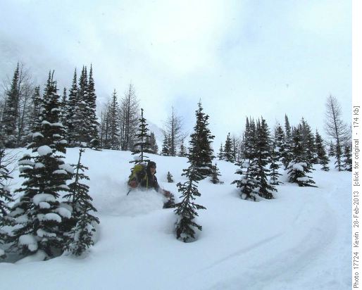 Arnold skiing the deep powder in Birdwood Pass