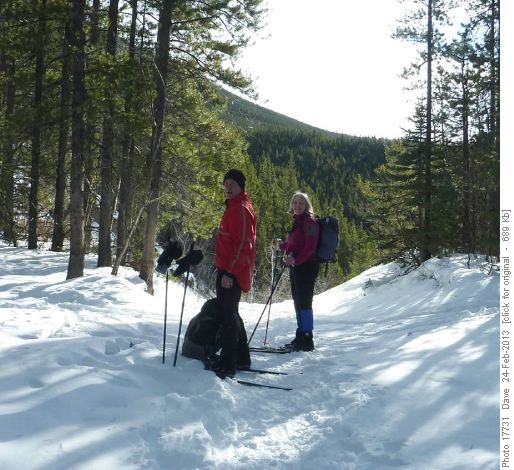 Trail at top of first hill