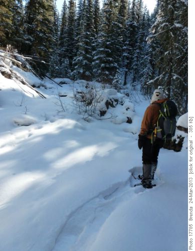 lots of snow in Salter Creek