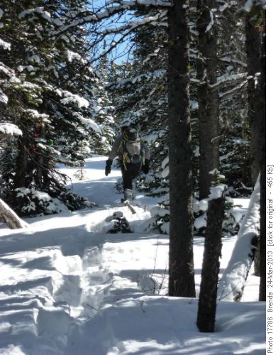 Lots of snow; lots of trail breaking