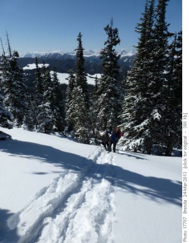 Approaching treeline