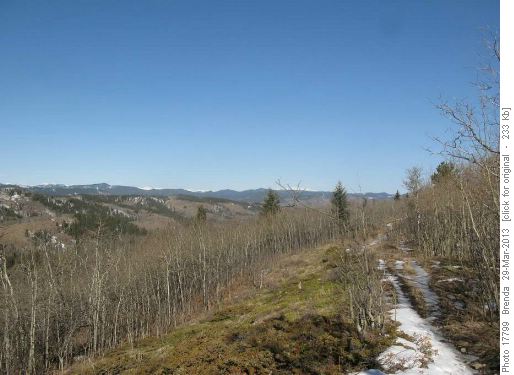 Fairly typical conditions on both Carry and Muley Ridges