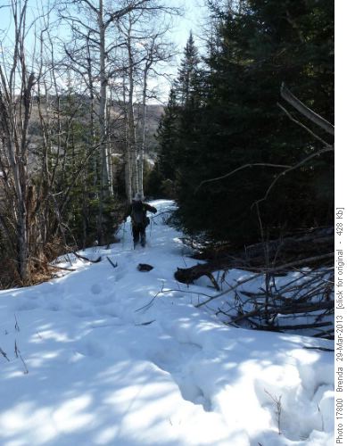 The most snow we found (dropping east off Carry Ridge)
