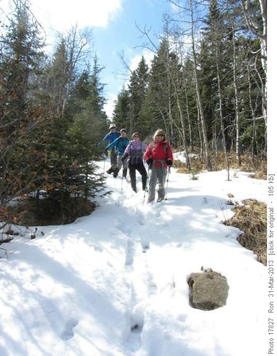 Descending the snowy cutline