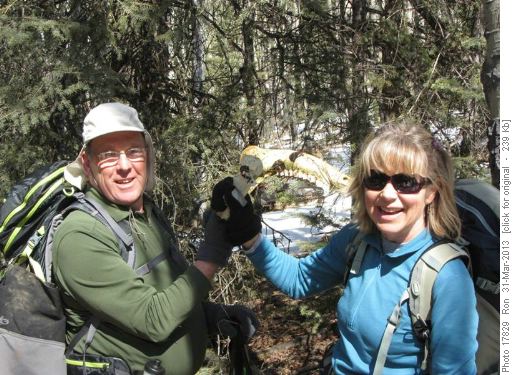 {777 Dav Harding} & {206 Barb Mitchell} jawing.