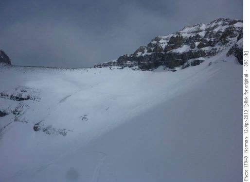Niblock-Whyte col
