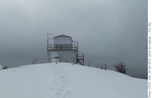 Mockingbird lookout