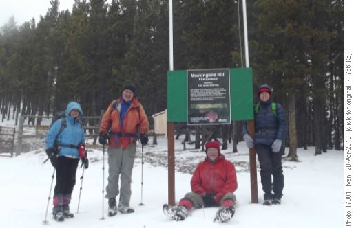 Mockingbird lookout /Janice, Bob, Ivan, Tereza/