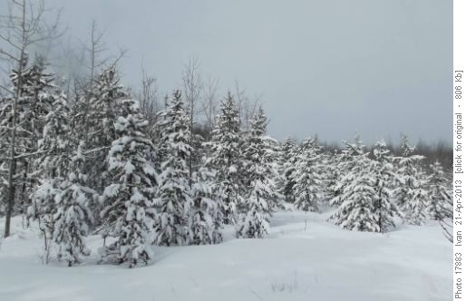 Rangers Summit