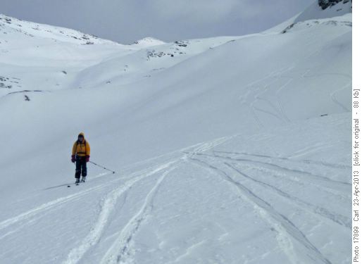 Slopes below Crowfoot Mtn
