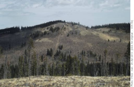 Eagle Hill