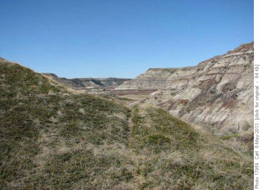 The descent canyon in juniper and crocus