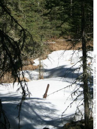 Pipe in the sulphur springs