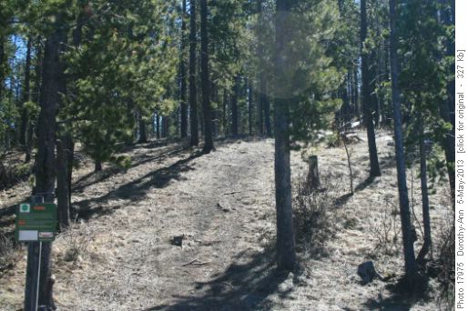 The 'road not taken' - bike trail