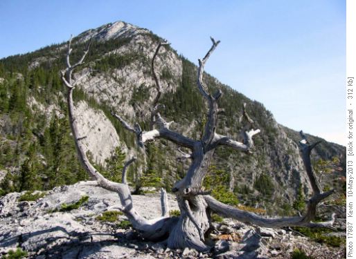 Door Jamb Mountain from the lower ridge