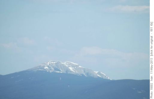 Limestone Mt.