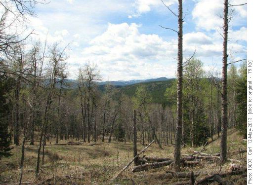 Western slope of Ranger Hill