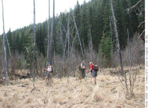 Wandering in the Ranger Creek valley