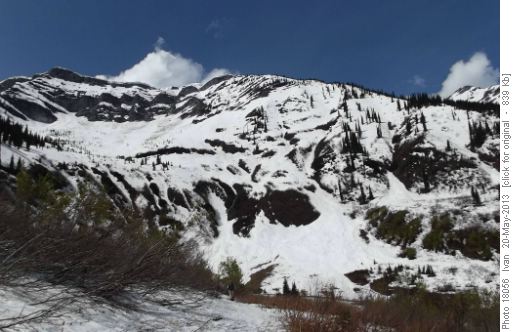 Mt.Fernie PP