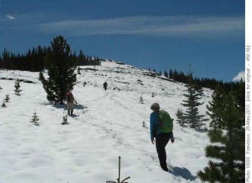 Near Mt. Hoffman's summit