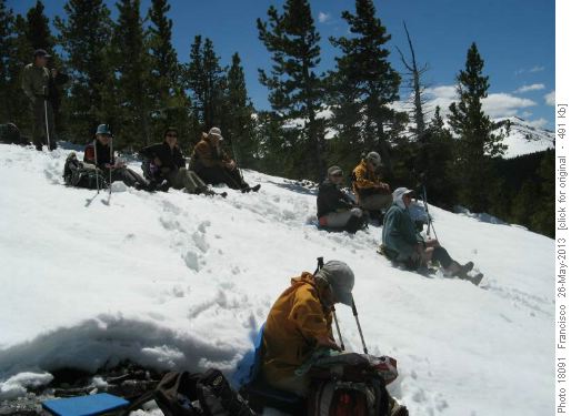 Lunch in the sunny meadow