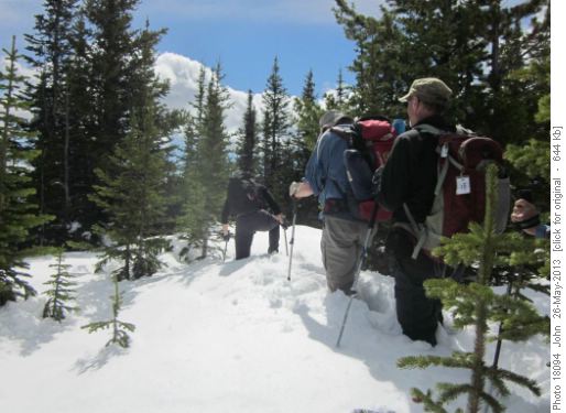 Jeannine breaking trail on the ridge between Heart and Grant MacEwan in late May Jeannine breaking trail on the ridge between Heart and Grant MacEwan in late May