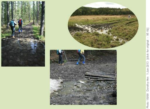 Mud at different parts of trails