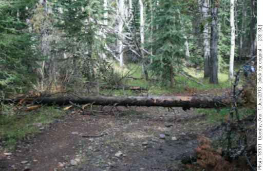 Hazard on DV trail