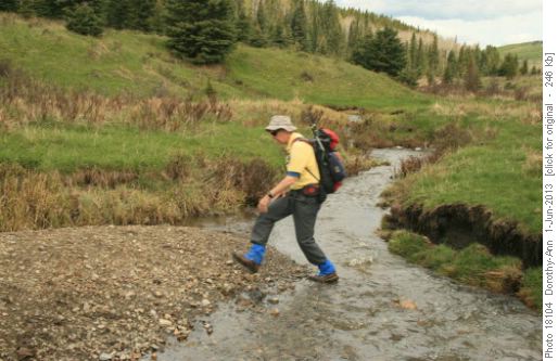 Ron jumps the creek