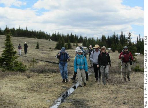 Soggy spot on Jumpingpound trail
