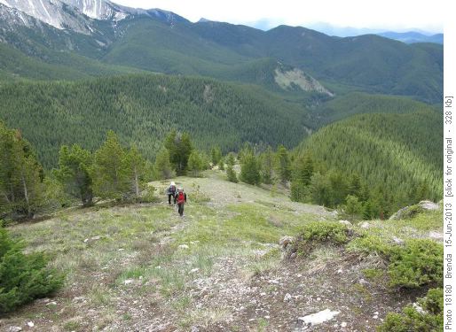 Gaining the open ridge