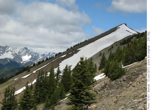 Snow along the upper ridge