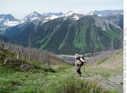 Damian on the upper slopes of the avalanche gully