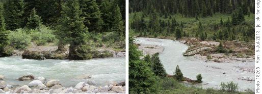 Johnston Creek: original bridge site and flood relocated bridges 200 metres downstream Johnston Creek: original bridge site and flood relocated bridges 200 metres downstream