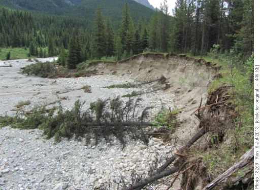 Flood eroded bank along Johnston Creek Flood eroded bank along Johnston Creek